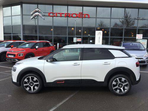 c4 cactus 2