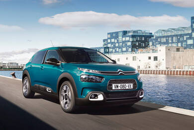 c4 cactus