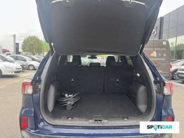 Ford Kuga (3) Hybride