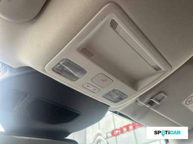 Ford Kuga (3) Hybride