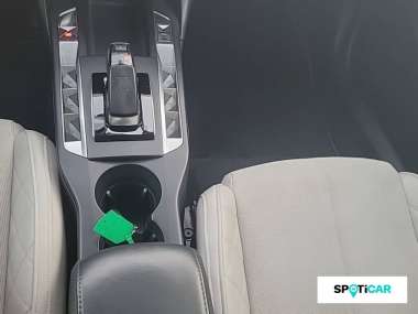 Ds DS 3 Crossback Electrique